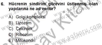 İnsan Anatomisi Ve Fizyolojisi Dersi 2012 - 2013 Yılı (Vize) Ara Sınav Soruları 6. Soru