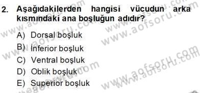 İnsan Anatomisi Ve Fizyolojisi Dersi 2014 - 2015 Yılı (Vize) Ara Sınav Soruları 2. Soru