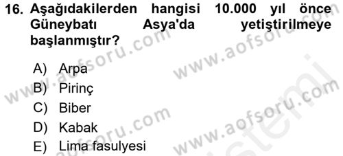 Gastronomi Tarihi Dersi 2015 - 2016 Yılı (Vize) Ara Sınav Soruları 16. Soru