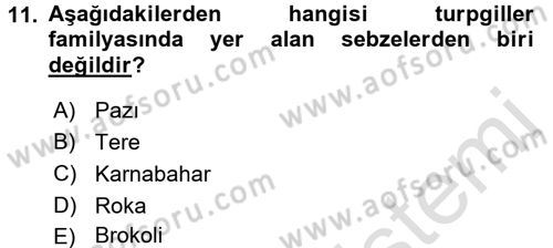 Gıda Coğrafyası Dersi 2017 - 2018 Yılı (Vize) Ara Sınav Soruları 11. Soru