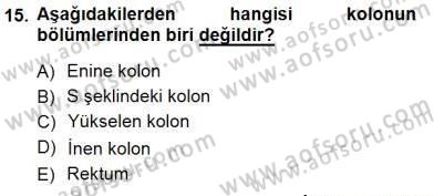 İnsan Anatomisi Ve Fizyolojisi Dersi 2012 - 2013 Yılı (Final) Dönem Sonu Sınav Soruları 15. Soru