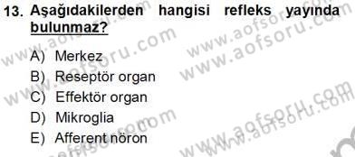 İnsan Anatomisi Ve Fizyolojisi Dersi 2012 - 2013 Yılı (Vize) Ara Sınav Soruları 13. Soru