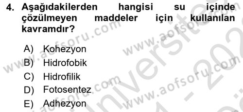 Beslenmenin Temel İlkeleri Dersi 2021 - 2022 Yılı (Vize) Ara Sınav Soruları 4. Soru