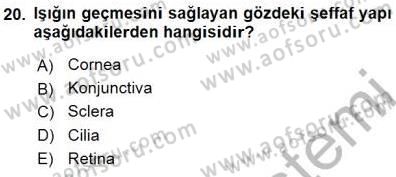 İnsan Anatomisi Ve Fizyolojisi Dersi 2015 - 2016 Yılı (Final) Dönem Sonu Sınav Soruları 20. Soru