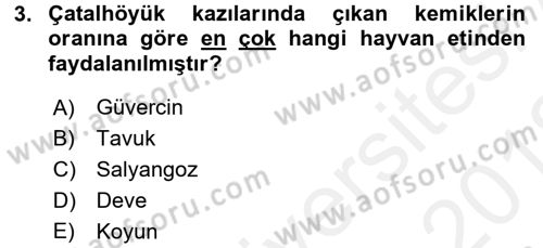 Gastronomi Tarihi Dersi 2017 - 2018 Yılı (Vize) Ara Sınav Soruları 3. Soru