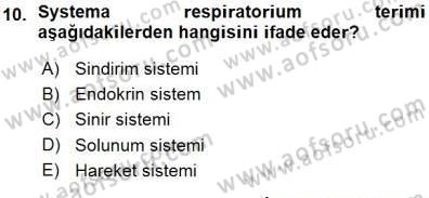 İnsan Anatomisi Ve Fizyolojisi Dersi 2015 - 2016 Yılı (Vize) Ara Sınav Soruları 10. Soru