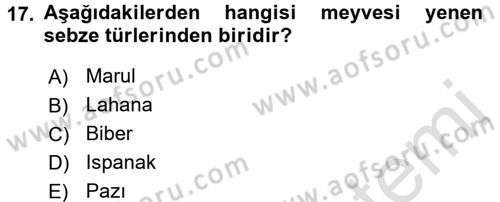 Gıda Coğrafyası Dersi 2017 - 2018 Yılı (Vize) Ara Sınav Soruları 17. Soru