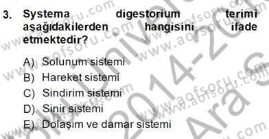 İnsan Anatomisi Ve Fizyolojisi Dersi 2014 - 2015 Yılı (Vize) Ara Sınav Soruları 3. Soru