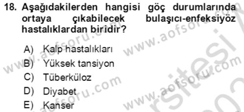 Göç Ve Göçmen Sorunları Dersi 2022 - 2023 Yılı Yaz Okulu Sınav Soruları 18. Soru