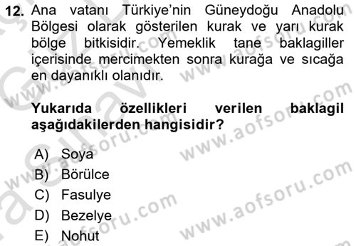Gıda Coğrafyası Dersi 2019 - 2020 Yılı (Vize) Ara Sınav Soruları 12. Soru