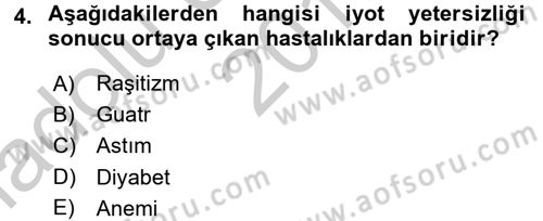 Beslenmenin Temel İlkeleri Dersi 2016 - 2017 Yılı (Vize) Ara Sınav Soruları 4. Soru