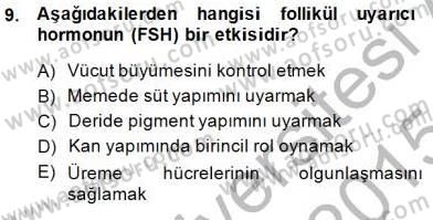 İnsan Anatomisi Ve Fizyolojisi Dersi 2014 - 2015 Yılı (Final) Dönem Sonu Sınav Soruları 9. Soru