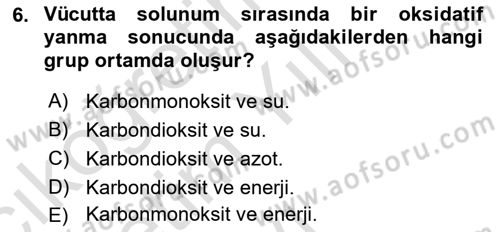 Beslenmenin Temel İlkeleri Dersi 2021 - 2022 Yılı Yaz Okulu Sınav Soruları 6. Soru