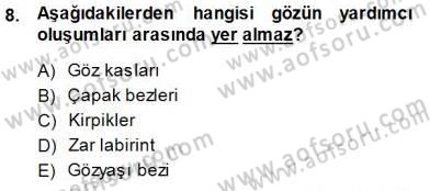 İnsan Anatomisi Ve Fizyolojisi Dersi 2013 - 2014 Yılı (Final) Dönem Sonu Sınav Soruları 8. Soru