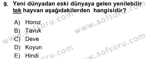 Gastronomi Tarihi Dersi 2016 - 2017 Yılı (Final) Dönem Sonu Sınav Soruları 9. Soru