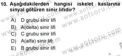 İnsan Anatomisi Ve Fizyolojisi Dersi 2015 - 2016 Yılı (Final) Dönem Sonu Sınav Soruları 10. Soru