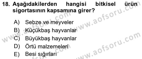 Afet Ekonomisi Ve Sigortacılığı Dersi 2018 - 2019 Yılı 3 Ders Sınav Soruları 18. Soru