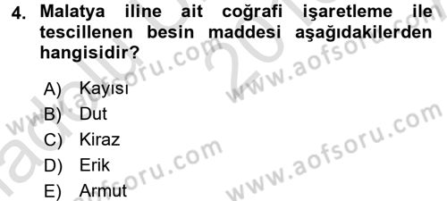 Gastronomi Ve Medya Dersi 2016 - 2017 Yılı (Vize) Ara Sınav Soruları 4. Soru