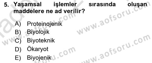 Beslenmenin Temel İlkeleri Dersi 2023 - 2024 Yılı Yaz Okulu Sınav Soruları 5. Soru