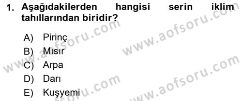Gıda Coğrafyası Dersi 2019 - 2020 Yılı (Vize) Ara Sınav Soruları 1. Soru