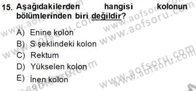 İnsan Anatomisi Ve Fizyolojisi Dersi 2014 - 2015 Yılı (Final) Dönem Sonu Sınav Soruları 15. Soru