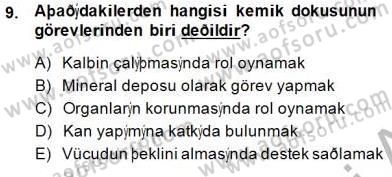 İnsan Anatomisi Ve Fizyolojisi Dersi 2014 - 2015 Yılı (Vize) Ara Sınav Soruları 9. Soru