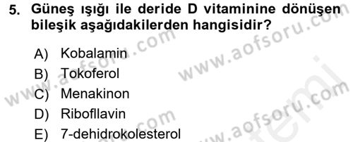 Beslenmenin Temel İlkeleri Dersi 2017 - 2018 Yılı (Final) Dönem Sonu Sınav Soruları 5. Soru