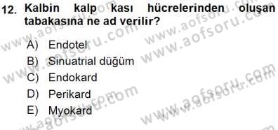 İnsan Anatomisi Ve Fizyolojisi Dersi 2015 - 2016 Yılı (Vize) Ara Sınav Soruları 12. Soru