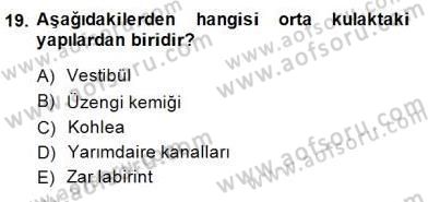 İnsan Anatomisi Ve Fizyolojisi Dersi 2014 - 2015 Yılı (Vize) Ara Sınav Soruları 19. Soru