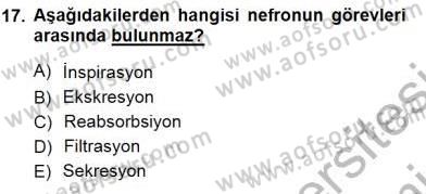 İnsan Anatomisi Ve Fizyolojisi Dersi 2012 - 2013 Yılı (Final) Dönem Sonu Sınav Soruları 17. Soru