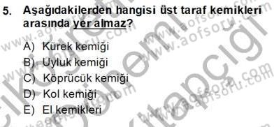 İnsan Anatomisi Ve Fizyolojisi Dersi 2014 - 2015 Yılı (Final) Dönem Sonu Sınav Soruları 5. Soru