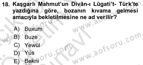 İçecek Bilgisi Dersi 2024 - 2025 Yılı Yaz Okulu Sınav Soruları 18. Soru