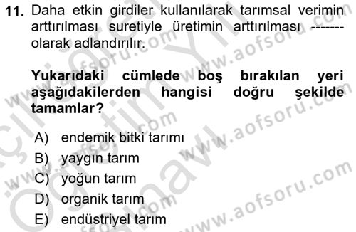 Yemek Sosyolojisi Dersi 2021 - 2022 Yılı Yaz Okulu Sınav Soruları 11. Soru