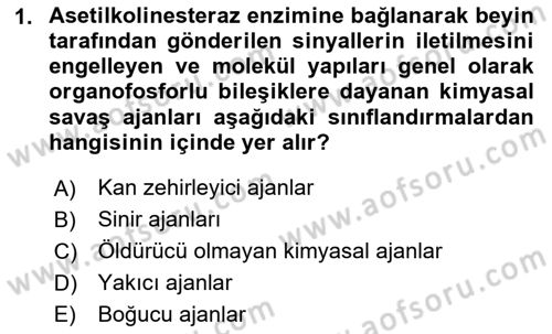 Kbrn Savunma Ve Güvenlik Dersi 2024 - 2025 Yılı (Vize) Ara Sınav Soruları 1. Soru