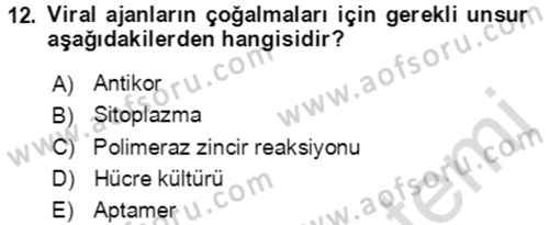 Kbrn Savunma Ve Güvenlik Dersi 2021 - 2022 Yılı (Final) Dönem Sonu Sınav Soruları 12. Soru