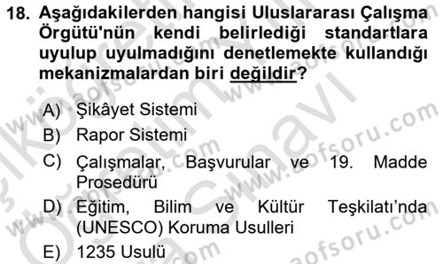 İnsan Hakları Ve Kamu Özgürlükleri Dersi 2025 - 2026 Yılı (Vize) Ara Sınav Soruları 18. Soru