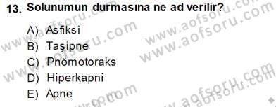 İnsan Anatomisi Ve Fizyolojisi Dersi 2013 - 2014 Yılı (Final) Dönem Sonu Sınav Soruları 13. Soru