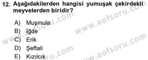 Gıda Coğrafyası Dersi 2017 - 2018 Yılı 3 Ders Sınav Soruları 12. Soru