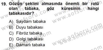 İnsan Anatomisi Ve Fizyolojisi Dersi 2012 - 2013 Yılı (Vize) Ara Sınav Soruları 19. Soru
