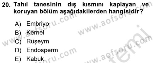 Temel Mutfak Teknikleri Dersi 2021 - 2022 Yılı Yaz Okulu Sınav Soruları 20. Soru