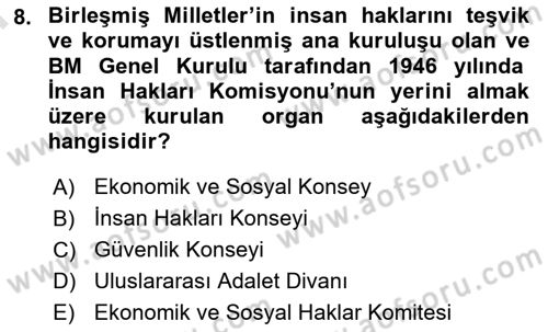 İnsan Hakları Ve Kamu Özgürlükleri Dersi 2023 - 2024 Yılı (Final) Dönem Sonu Sınav Soruları 8. Soru