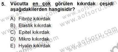 İnsan Anatomisi Ve Fizyolojisi Dersi 2012 - 2013 Yılı (Vize) Ara Sınav Soruları 5. Soru