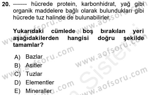 Beslenmenin Temel İlkeleri Dersi 2018 - 2019 Yılı (Final) Dönem Sonu Sınav Soruları 20. Soru
