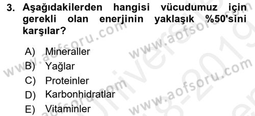 Beslenmenin Temel İlkeleri Dersi 2018 - 2019 Yılı (Final) Dönem Sonu Sınav Soruları 3. Soru