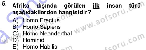 Anadolu Arkeolojisi Dersi 2014 - 2015 Yılı (Vize) Ara Sınav Soruları 5. Soru