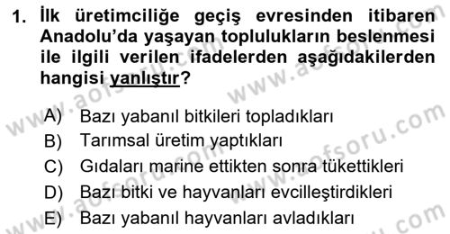 Gastronomi Tarihi Dersi 2024 - 2025 Yılı (Vize) Ara Sınav Soruları 1. Soru