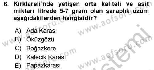 İçecek Bilgisi Dersi 2016 - 2017 Yılı 3 Ders Sınav Soruları 6. Soru