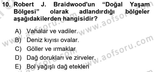 Anadolu Arkeolojisi Dersi 2024 - 2025 Yılı (Vize) Ara Sınav Soruları 10. Soru