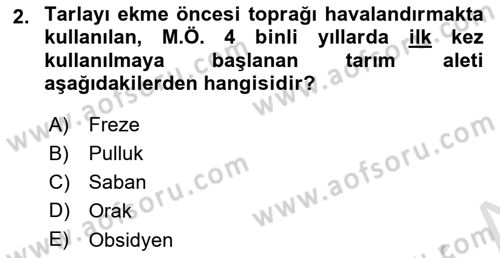 Gastronomi Tarihi Dersi 2024 - 2025 Yılı (Final) Dönem Sonu Sınav Soruları 2. Soru