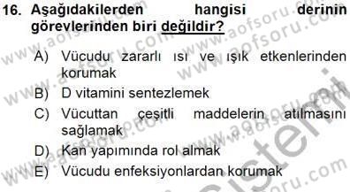İnsan Anatomisi Ve Fizyolojisi Dersi 2015 - 2016 Yılı (Vize) Ara Sınav Soruları 16. Soru
